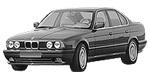BMW E34 P1295 Fault Code